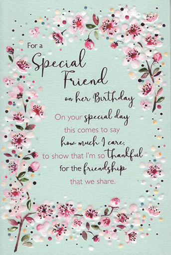 Picture of SPECIAL FRIEND BIRTHDAY CARD